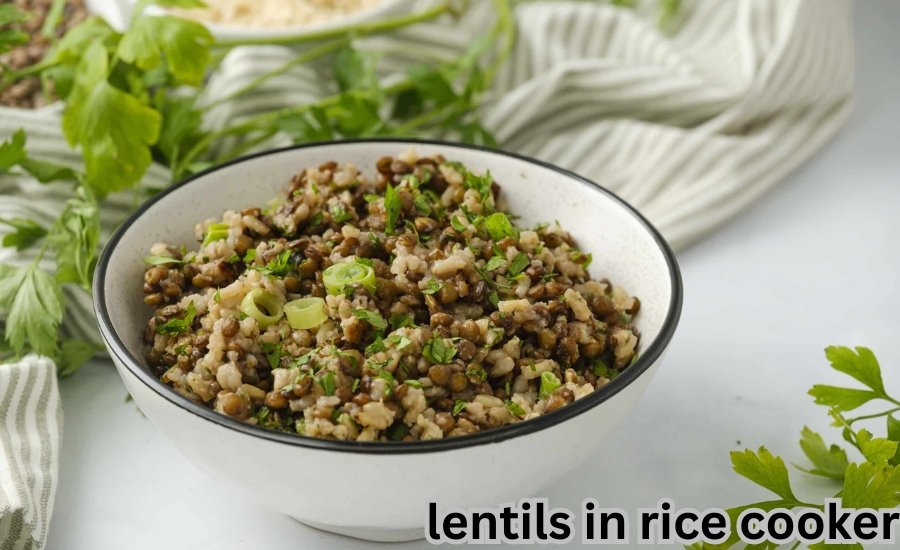 lentils in rice cooker