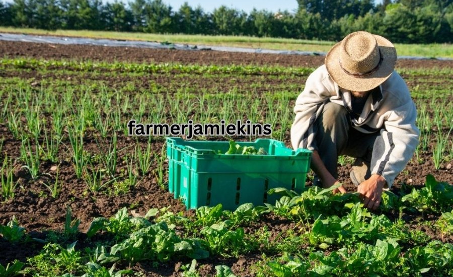 farmerjamiekins